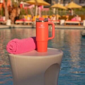 Stanley 30 oz Stainless Steel H2.0 Flow state Quencher Tumbler NWT Sold Out